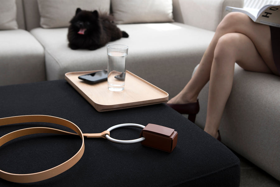 Lumi Leash