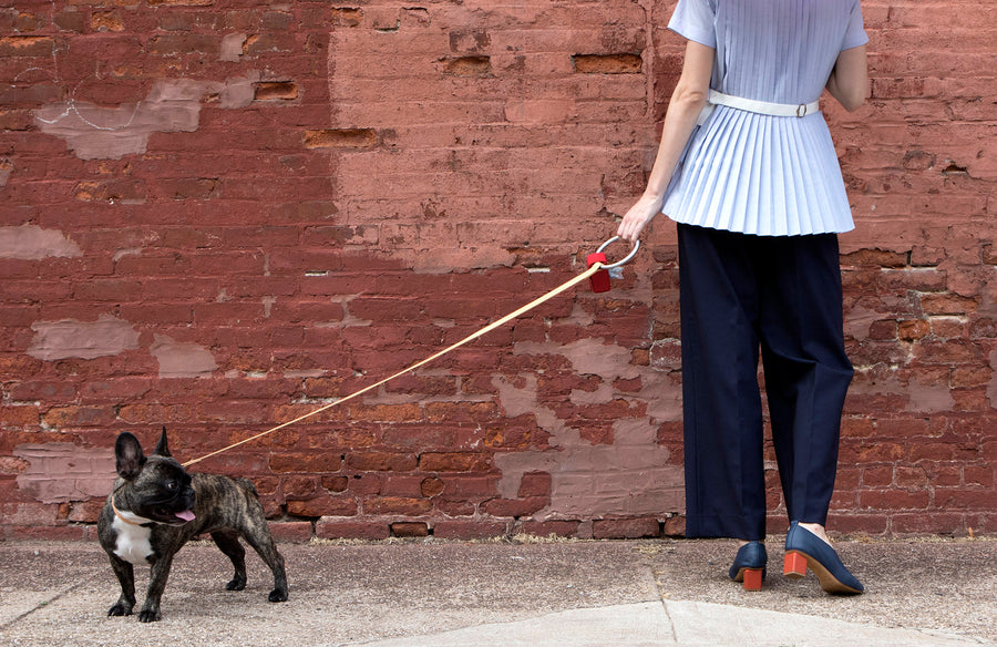 Lumi Leash and Collar Set