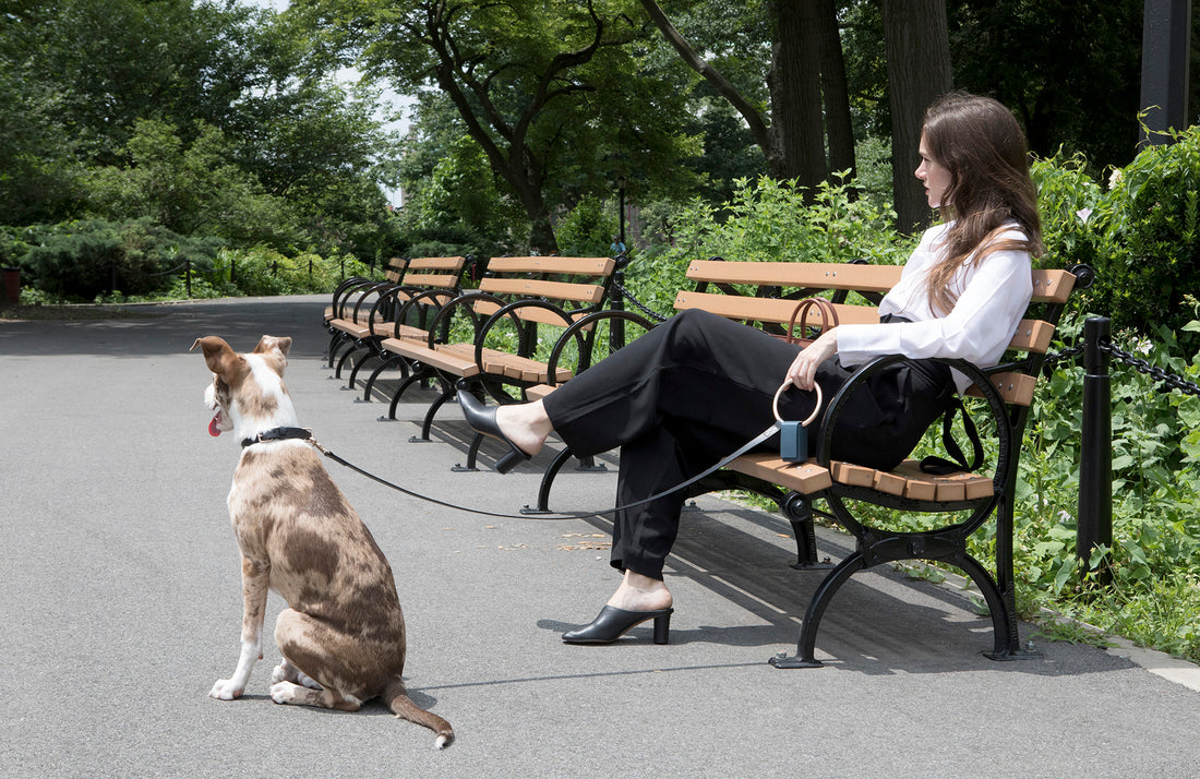 Lumi Leash