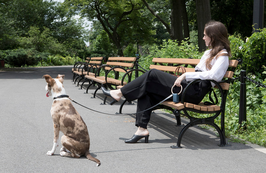 Lumi Leash