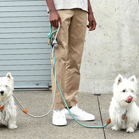 Ray Harness