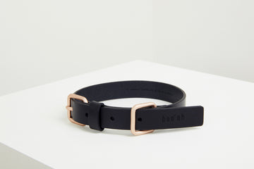 Lumi Collar