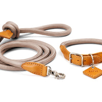 Ray Collar + Leash Set