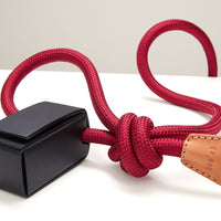Ray Harness