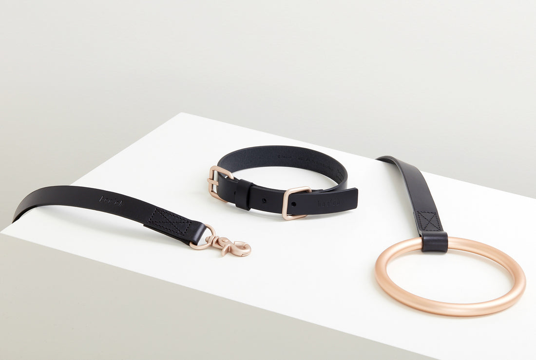 Lumi Collar