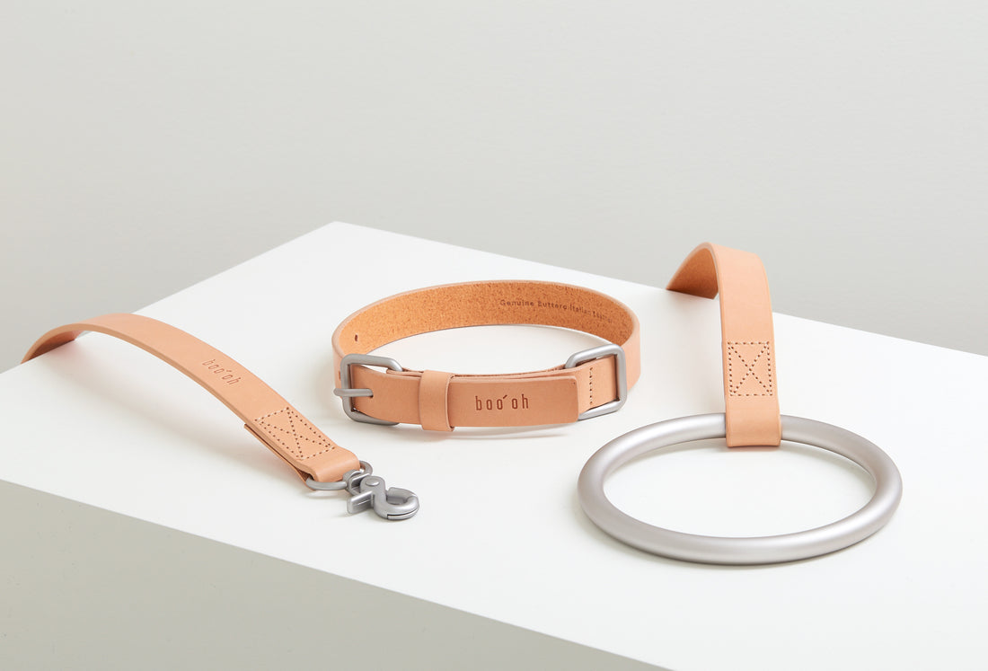 Lumi Leash and Collar Set