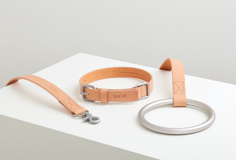 Lumi Leash and Collar Set