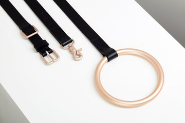 Lumi Leash and Collar Set