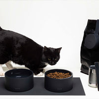 Mogo Feeding Kit
