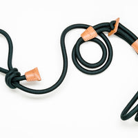 Ray Harness