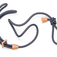 Ray Harness
